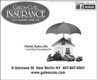 Sponsor Gates-Cole 200